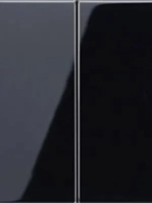 AKCE - Kryt dvojitý vypínač, sériové tlačítko černá LS995SW - JUNG Finální Výprodej